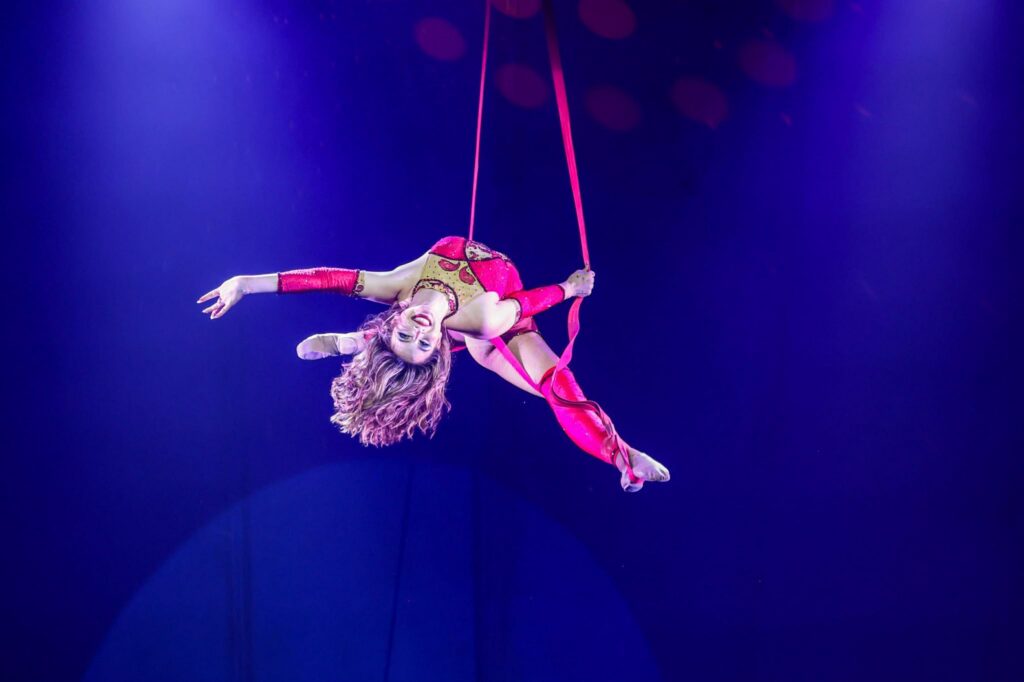 Aerialist