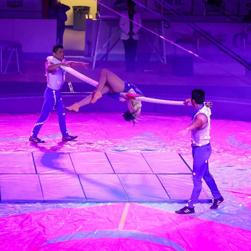 Dahlia Troupe - Russian Bar and hula hoop